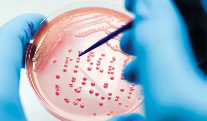 Hautpilz lässt sich durch einen Arzt feststellen